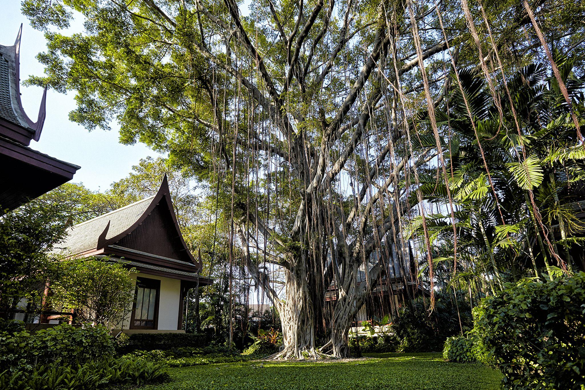 Chiva-Som International Health Resorts Hua Hin Bagian luar foto